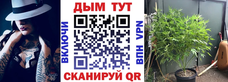 Купить где  Курганинск  Марихуана MAZAR 